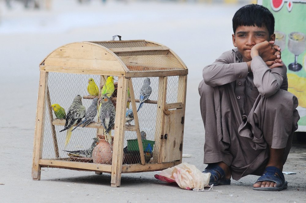 Photograph by Qasim Ghauri