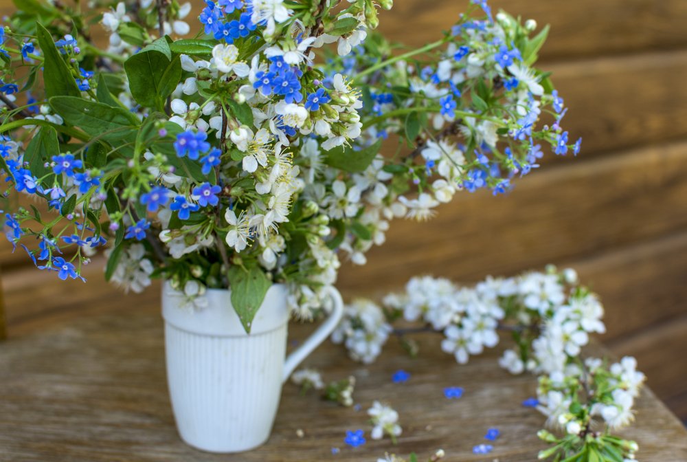 Photograph by Анна Фольмер