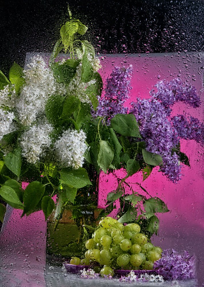 Photograph by Светлана Елшанская