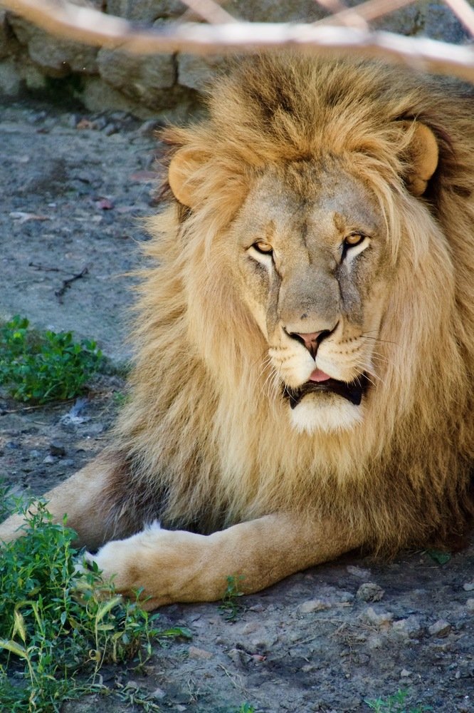 Photograph by Наталья Пирогова