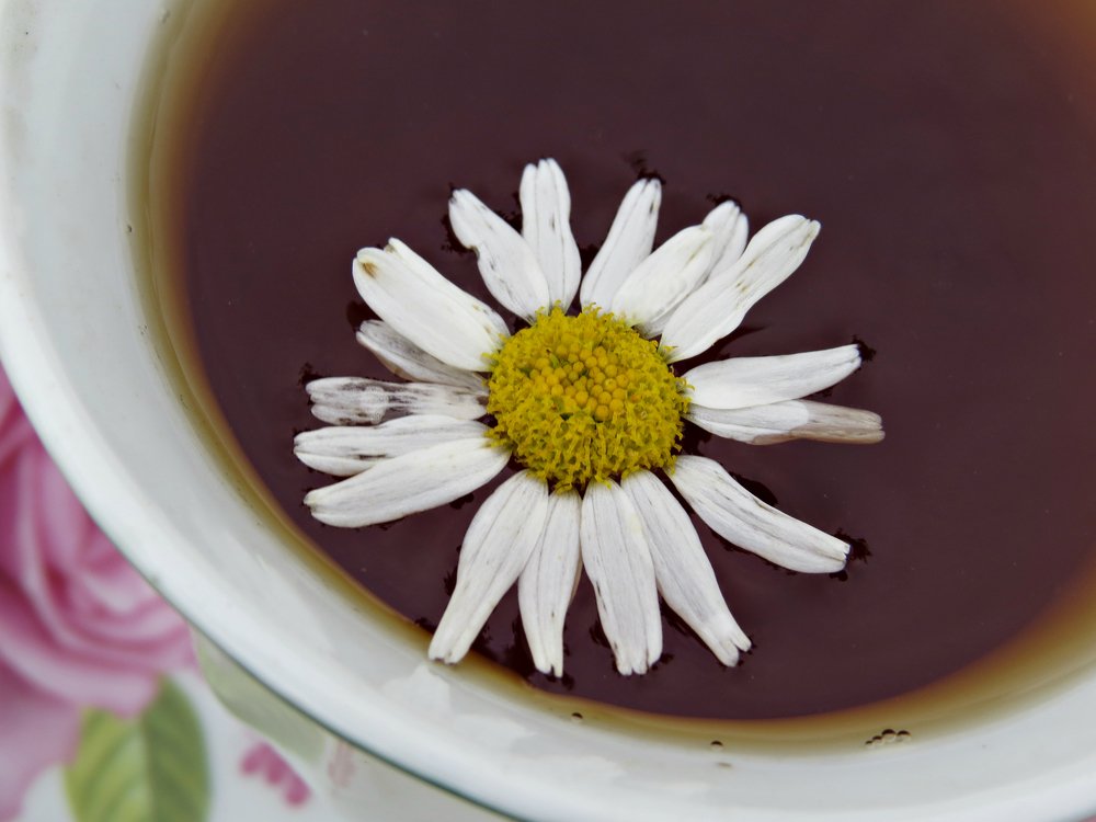 Photograph by Елена Жадько