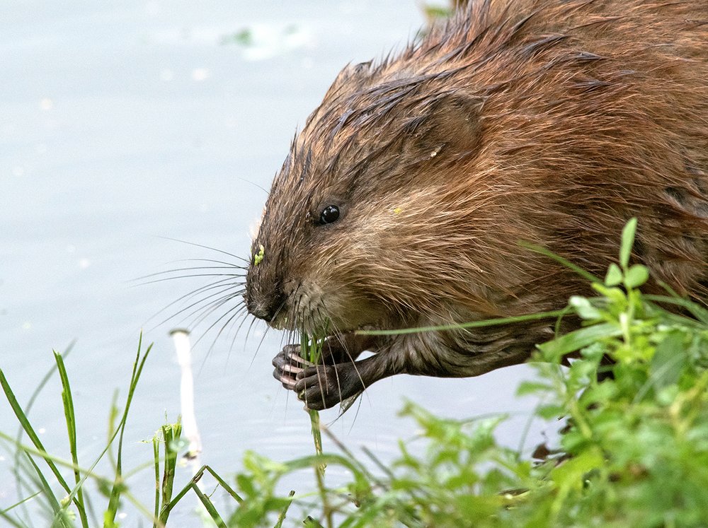 Вкусный завтрак