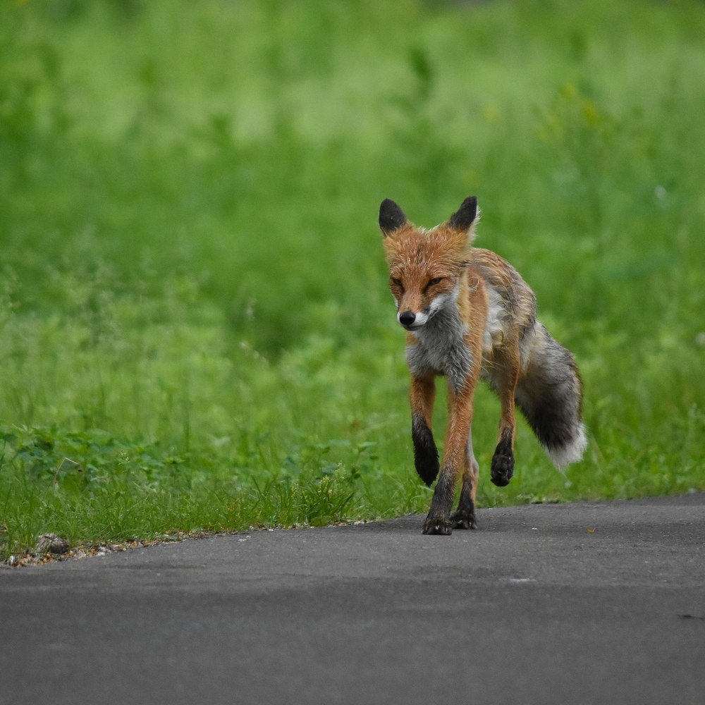 Photograph by @bersenika