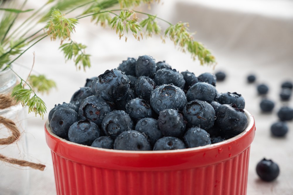 Photograph by Оксана Паляница