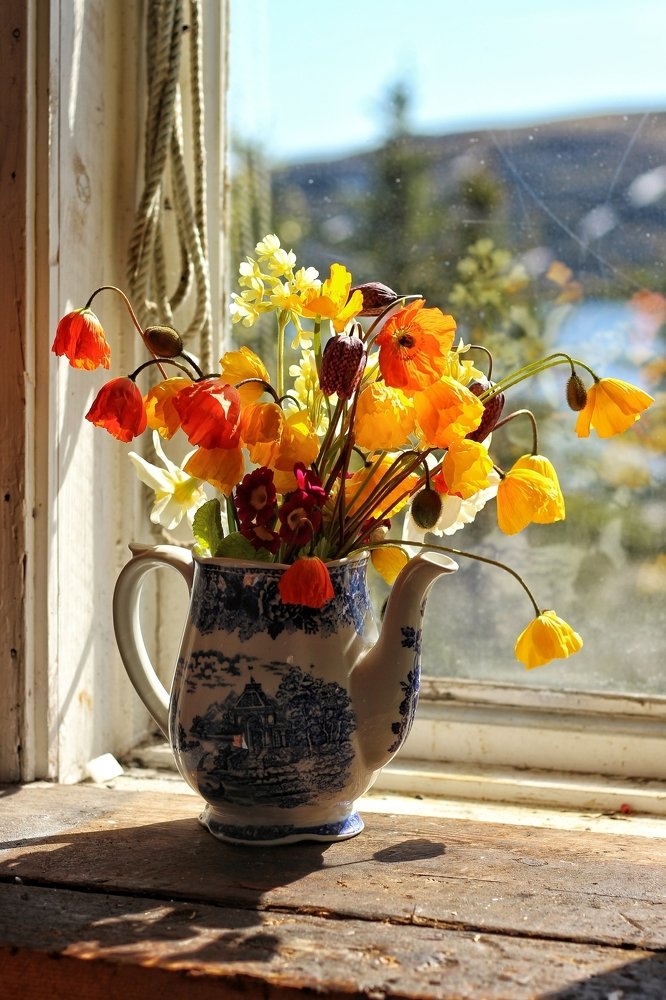 Photograph by Inna Kristiansen