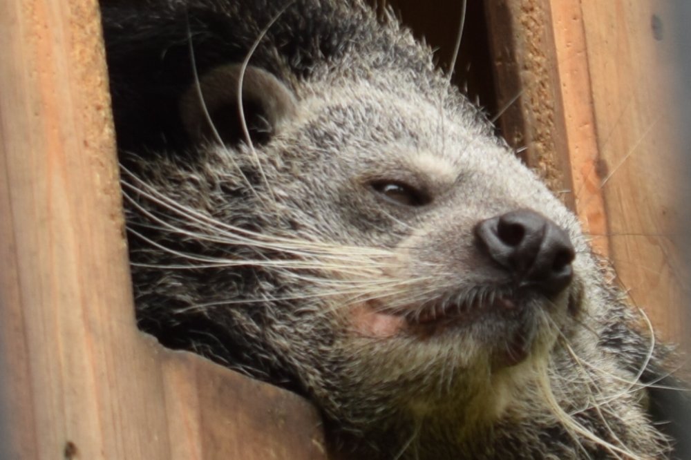 Эти уставшие глаза