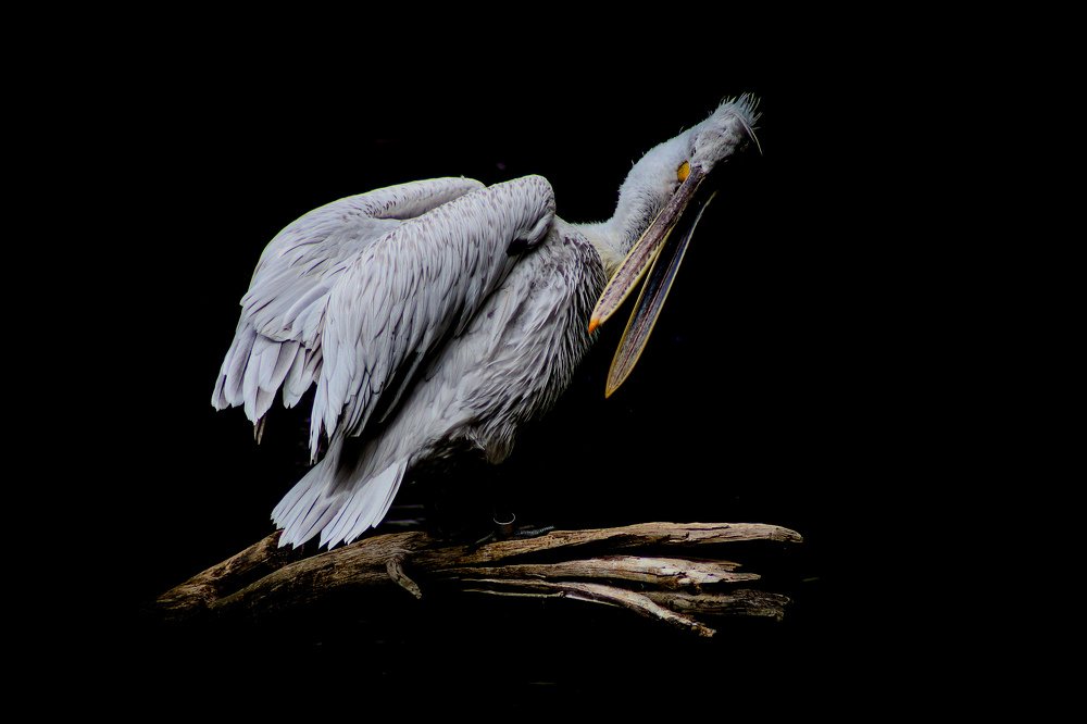 Photograph by Alexandra Malkusová