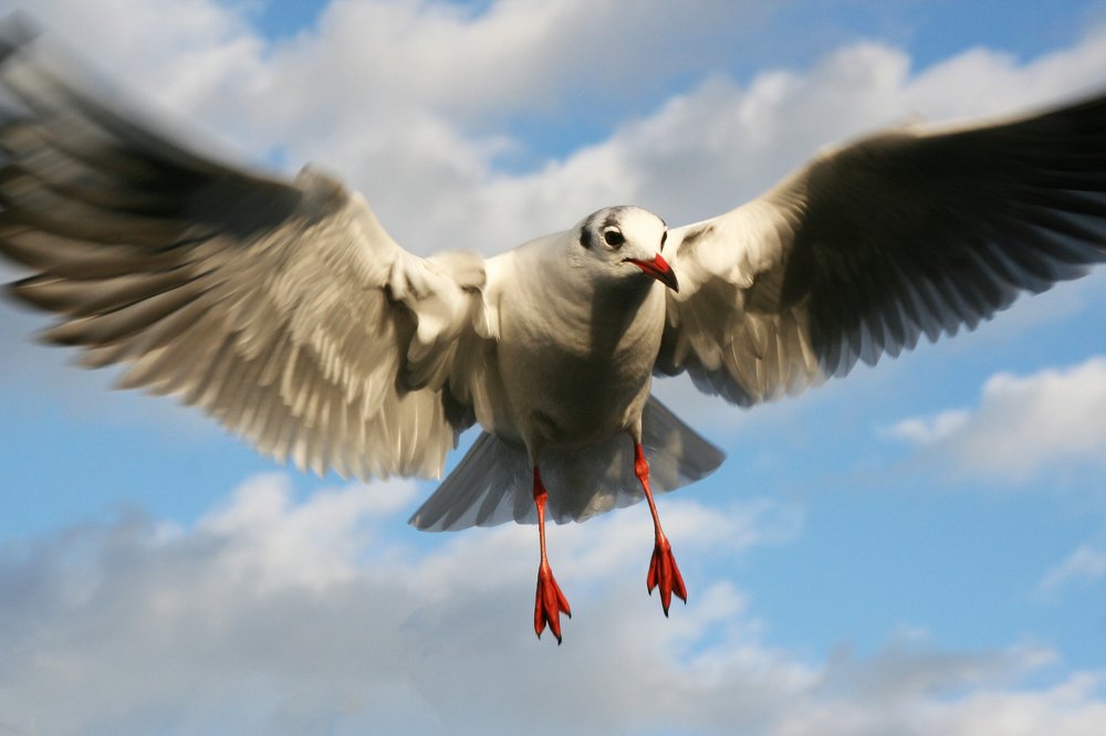 Photograph by Анна Гвоздовская