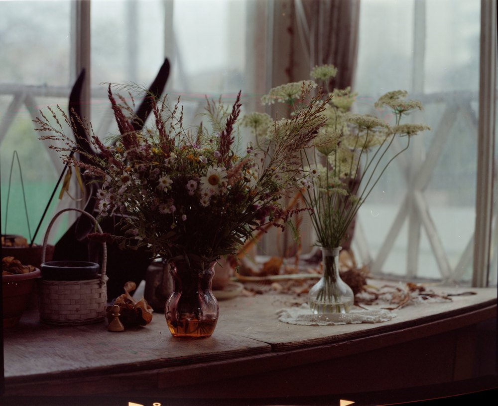 Photograph by Ольга Толяренок