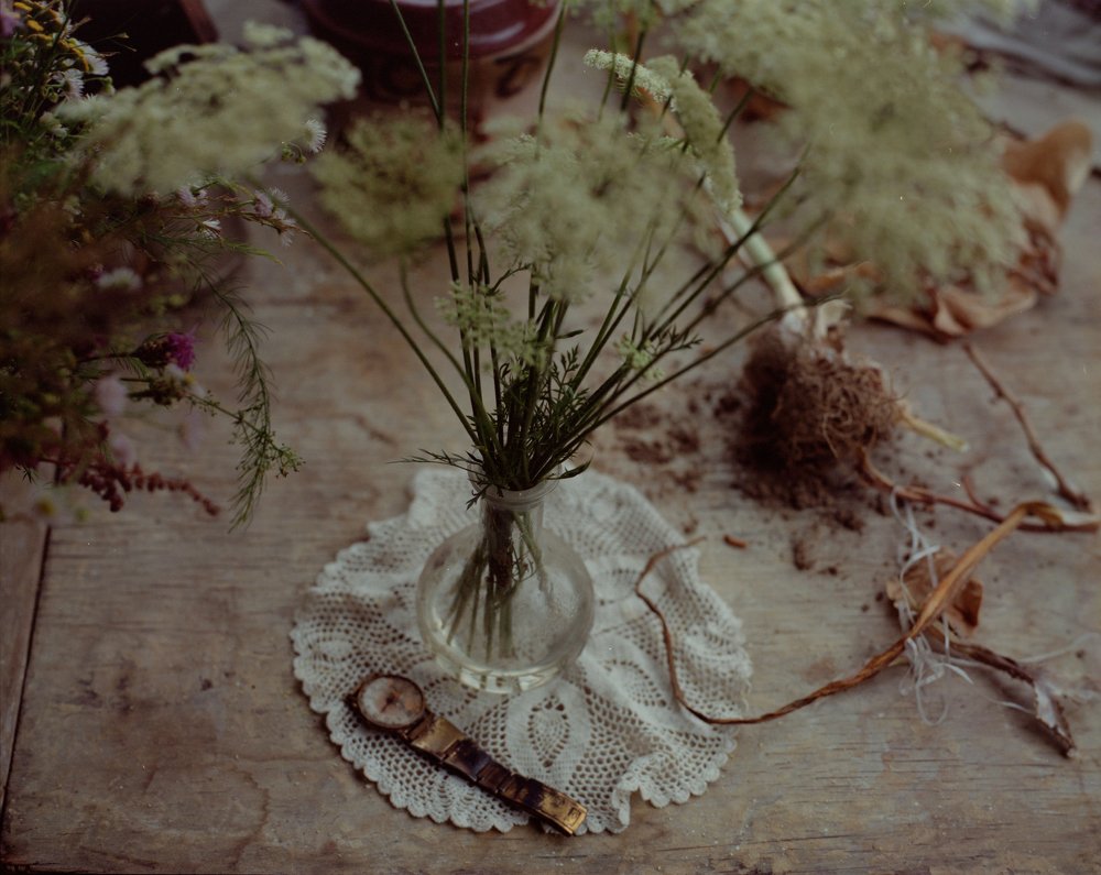 Photograph by Ольга Толяренок