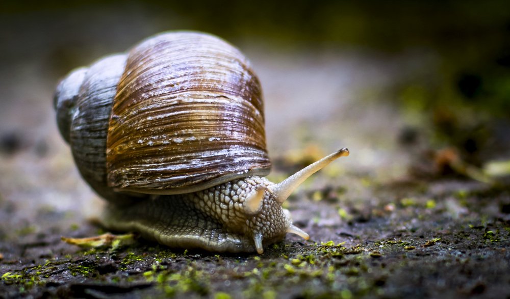 И пусть весь мир подождёт.