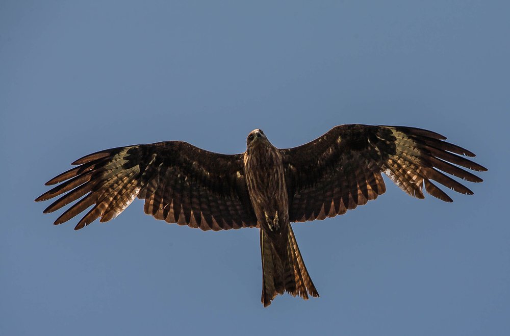 Photograph by Лариса Максименко