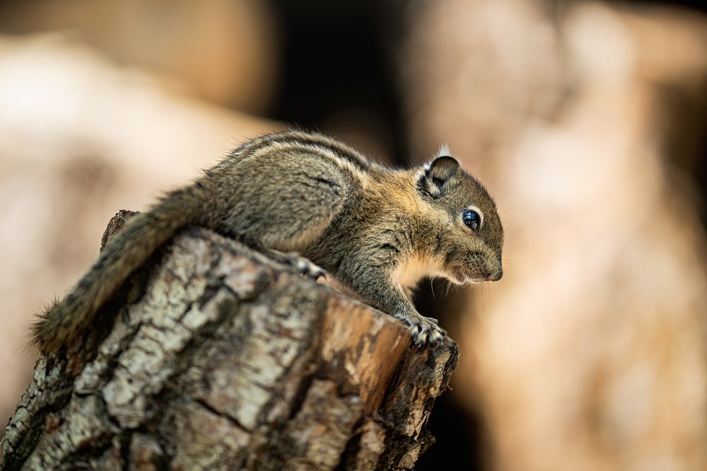 Photograph by Tamara Klimenko