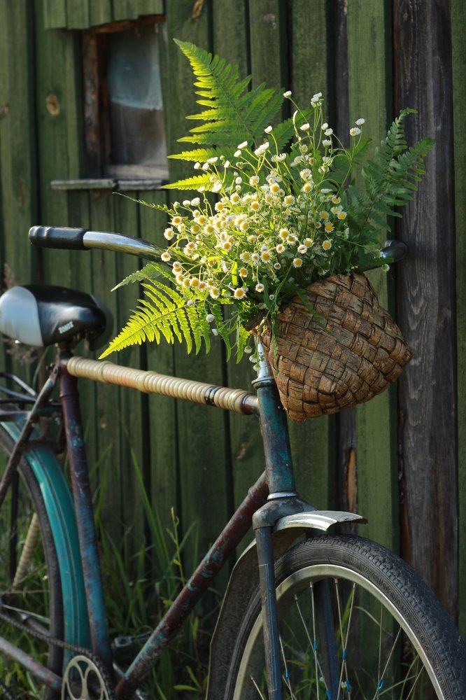 Photograph by Inna Kristiansen