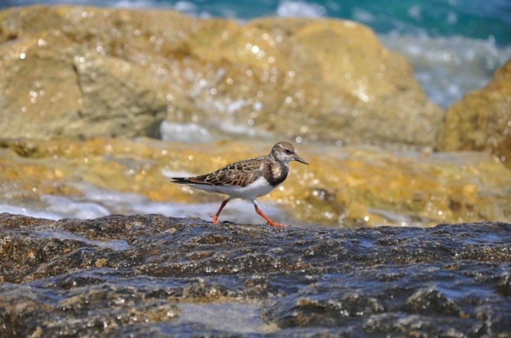 Photograph by Надежда Тенетко