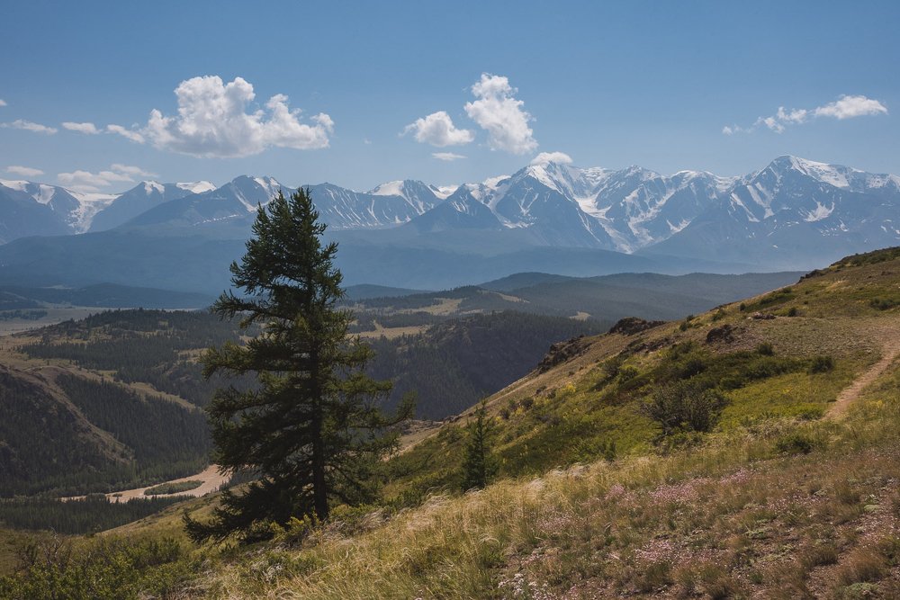 Photograph by Ирина Яук