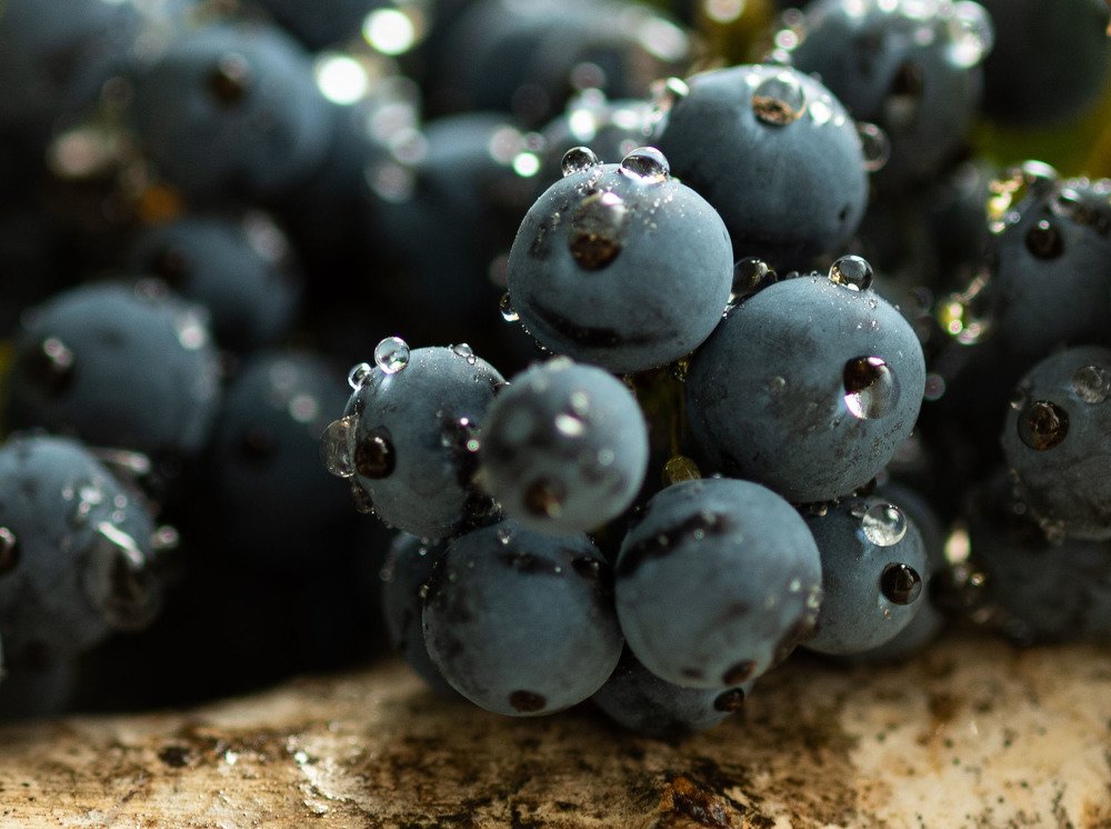 Photograph by Оксана Паляница