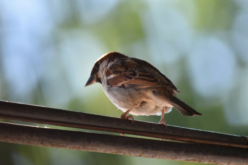 Photograph by Инна Сенкевич