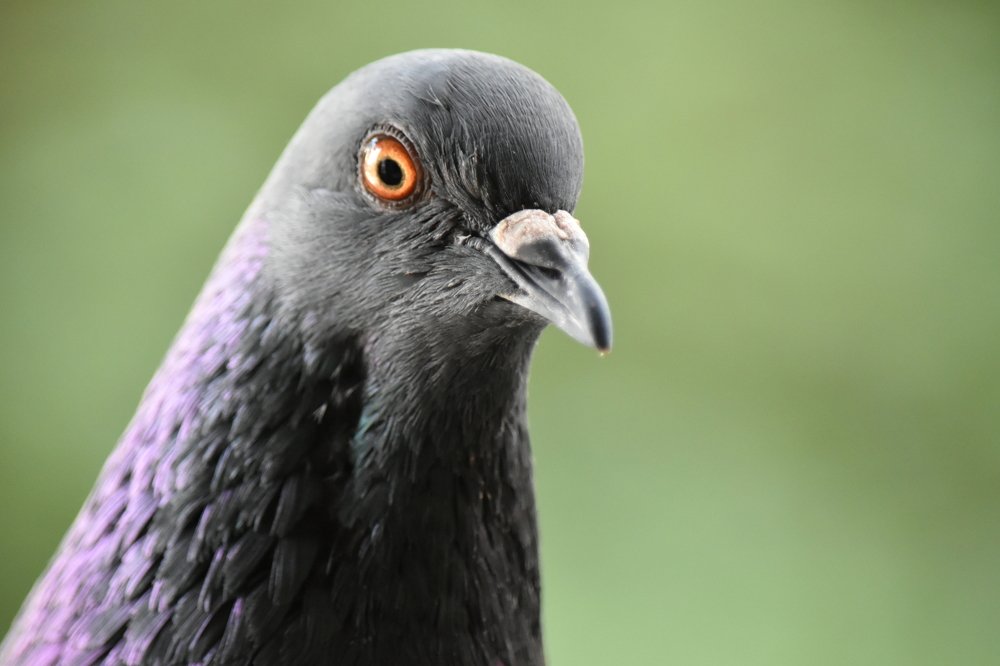 Photograph by Инна Сенкевич