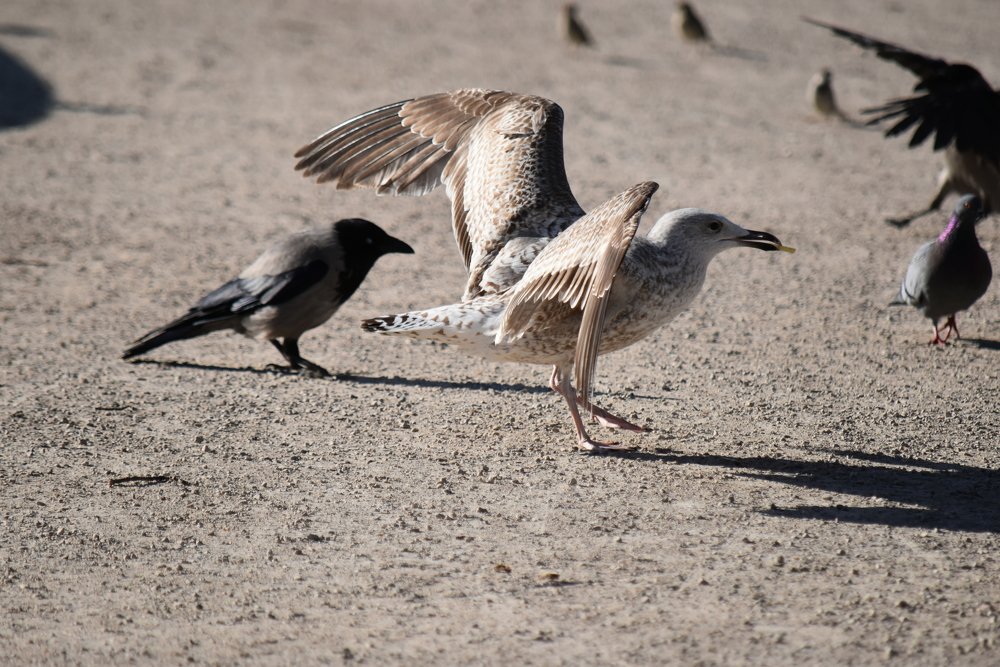 Photograph by Инна Сенкевич