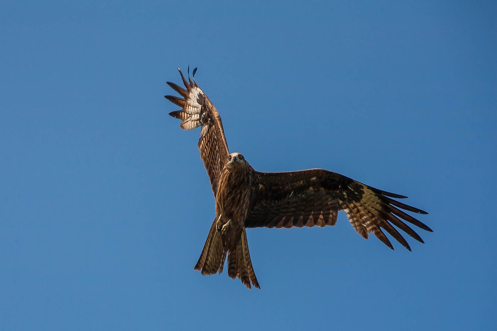 Photograph by Лариса Максименко