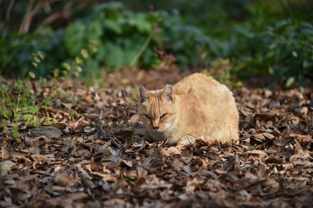 Photograph by mypure heart