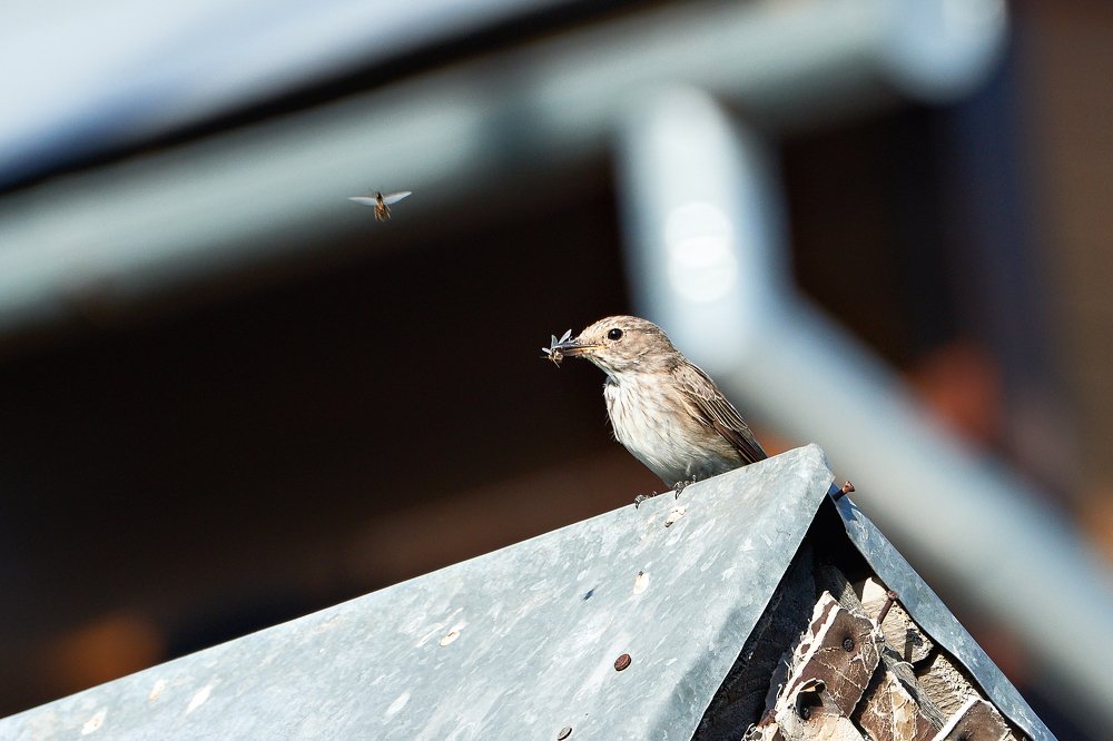 Photograph by Валерий