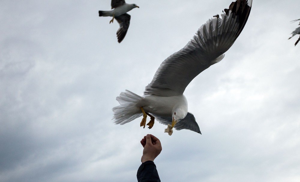 Photograph by vasilis trigas
