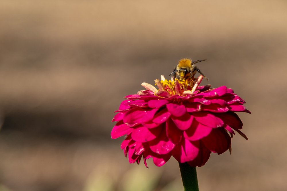 Ни у кого нет салфетки?