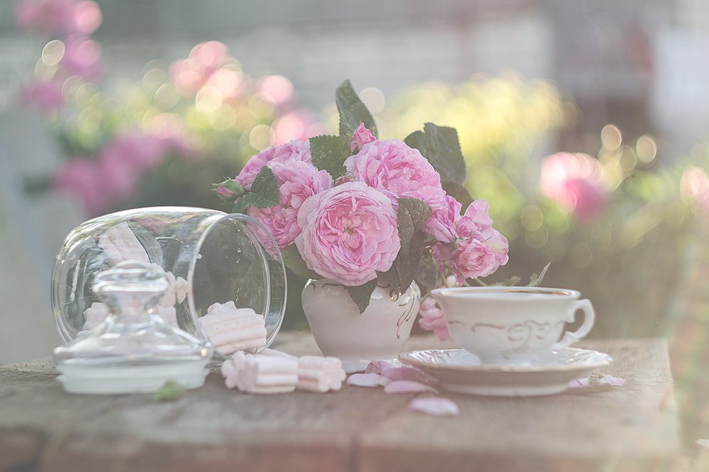 Фотография автора Мария Курицына