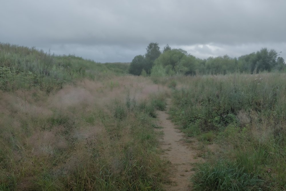 Photograph by Ольга Голубева