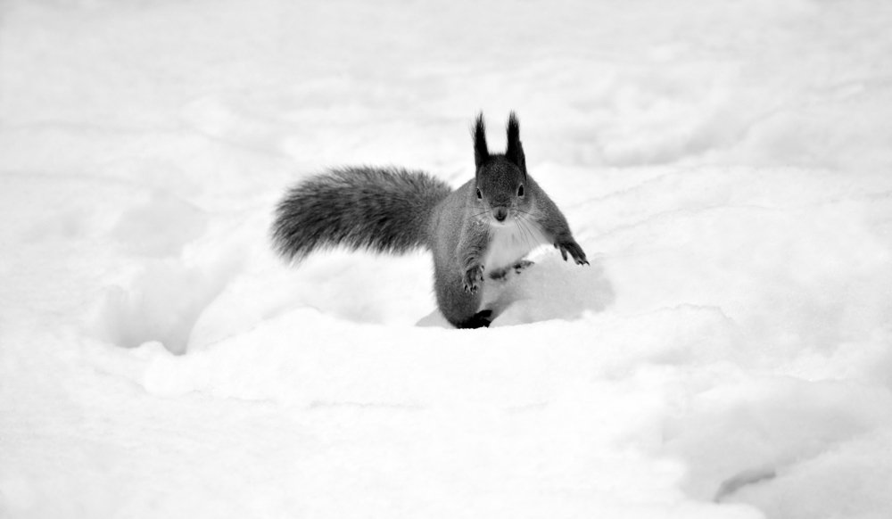 Преодоление препятствий