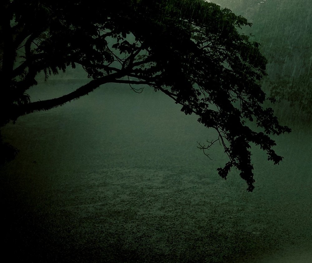Song of Rain