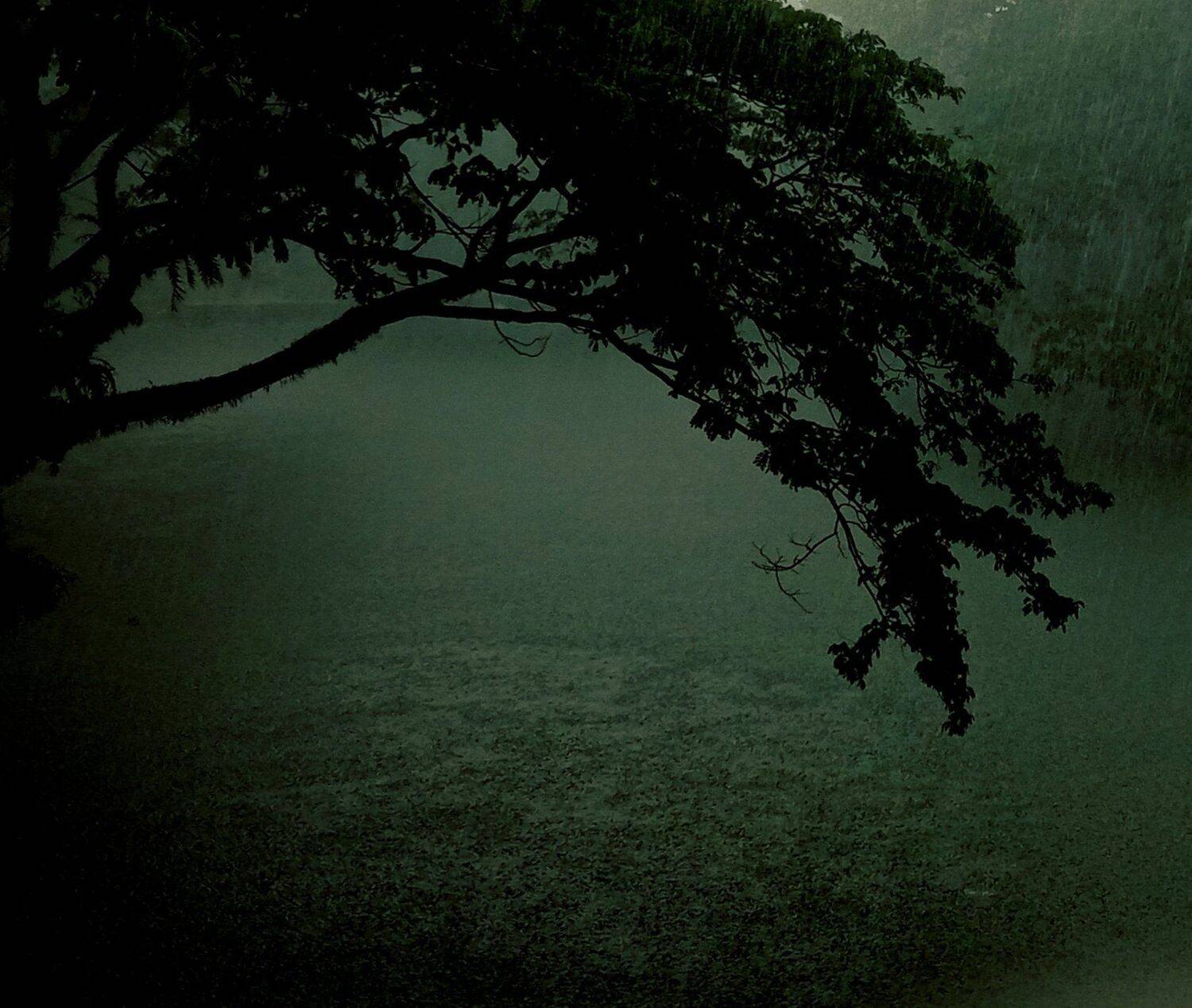 Song of Rain