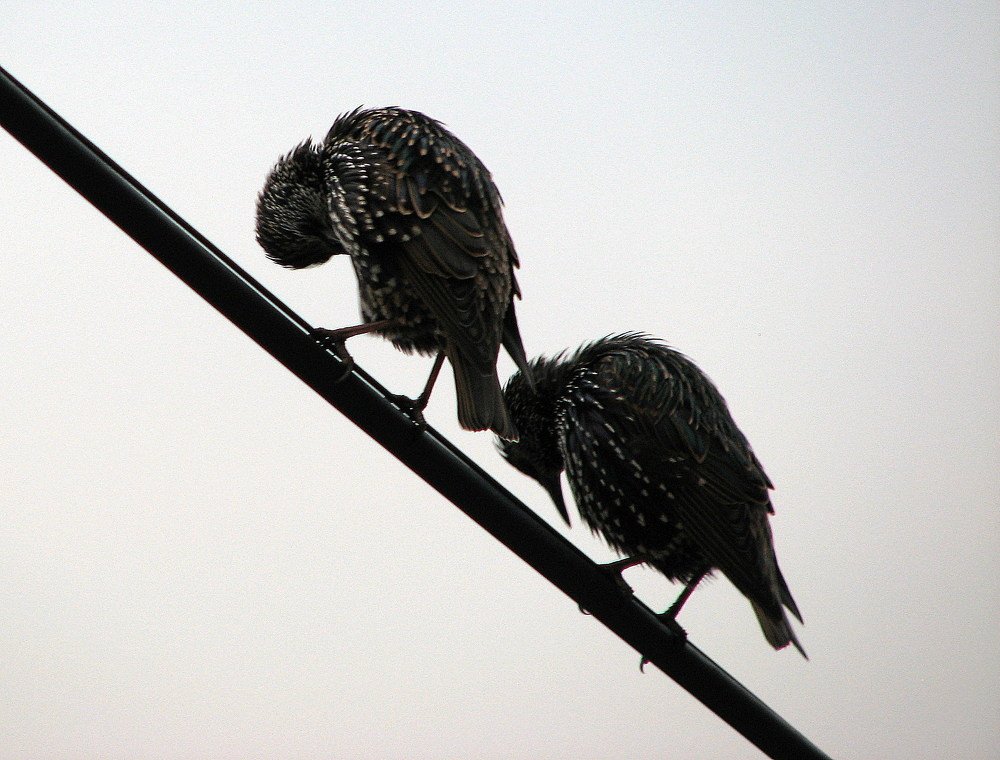 Photograph by Игорь