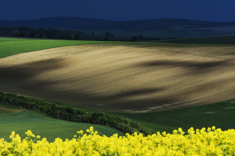 Photograph by Mario Sikora