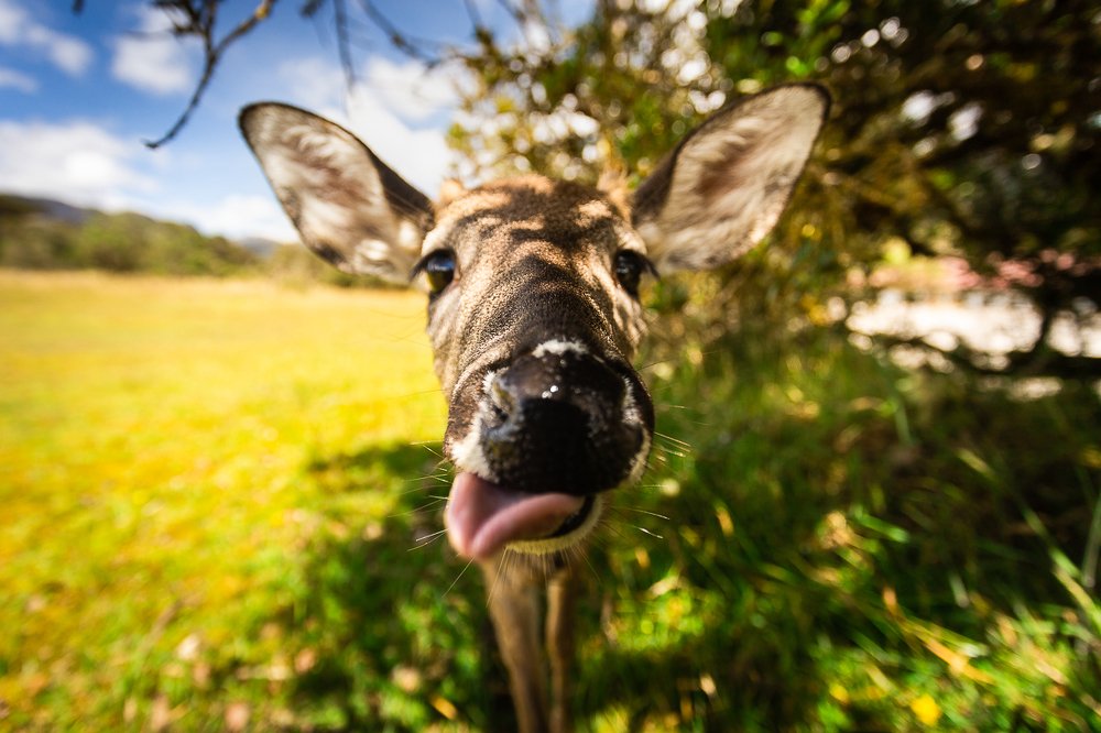 Photograph by Kevin Molano