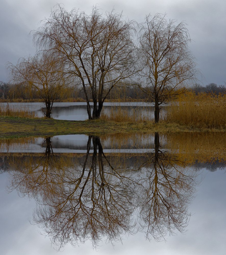 Photograph by Владимир Бурцев