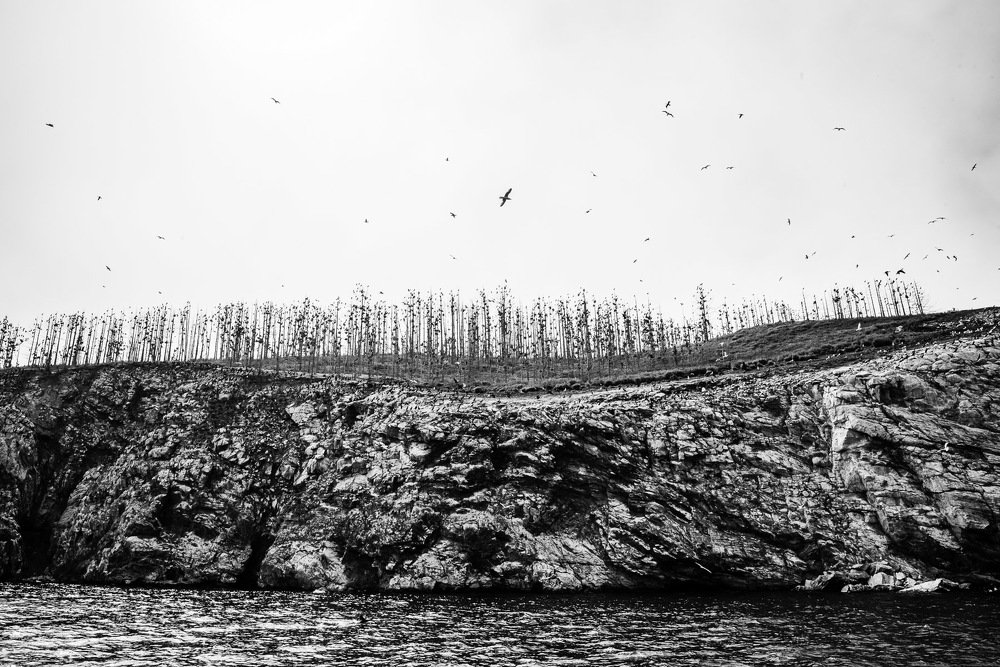Photograph by Галина Баранова