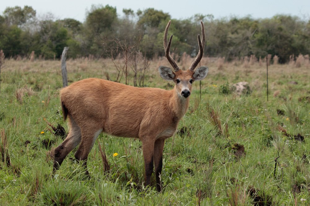 Photograph by MARÍA CECILIA REY