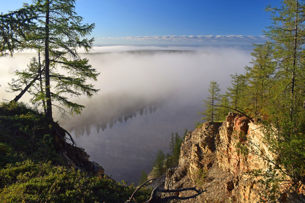 Туман на Молодо