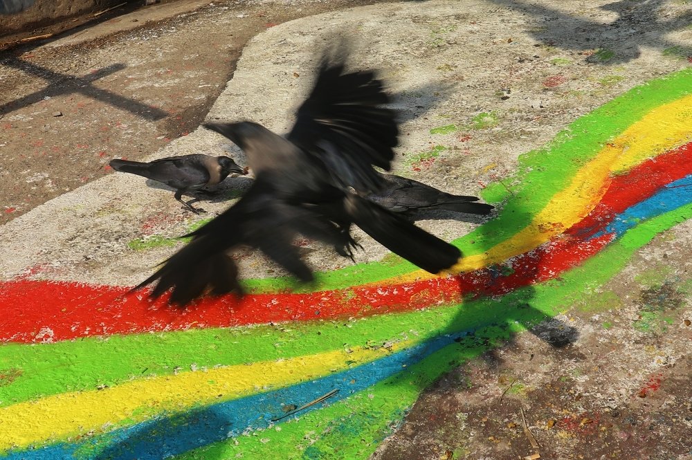 Photograph by Pravat Biswas