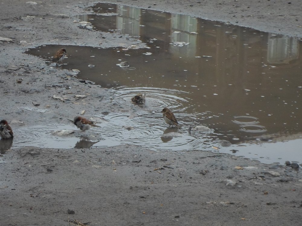 Photograph by Лида