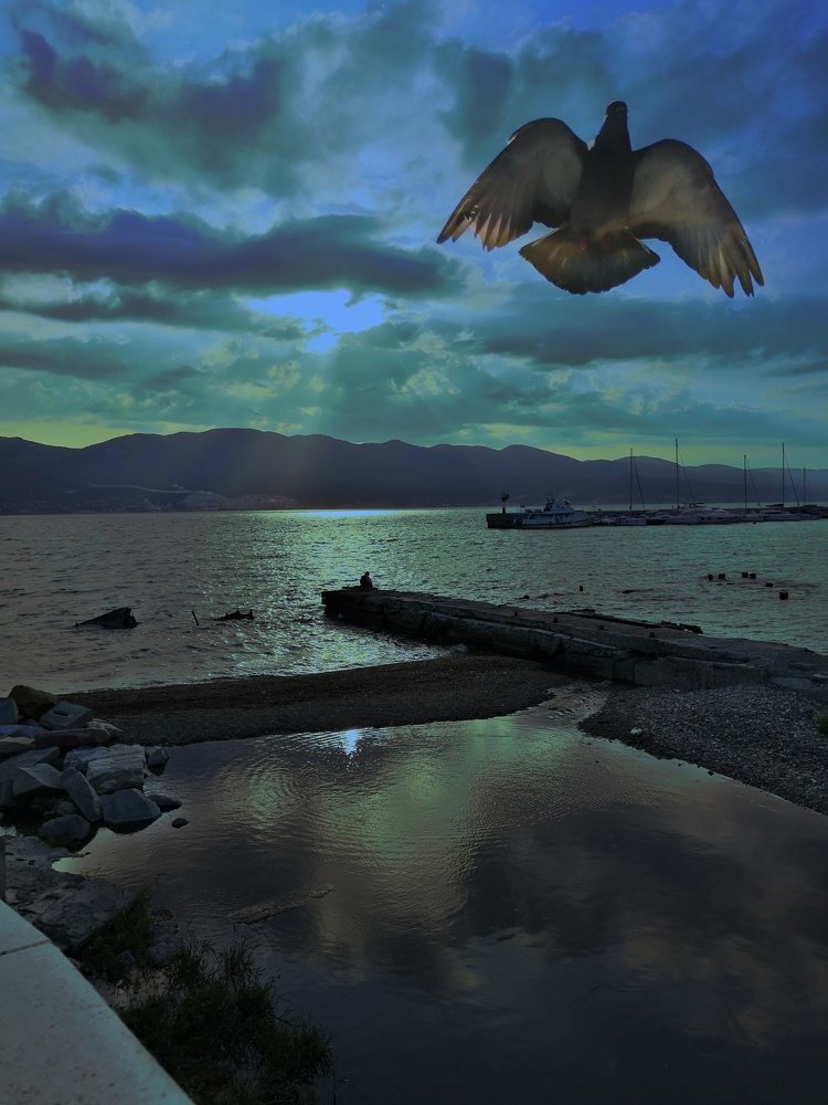 Photograph by Виктория Федосеенко