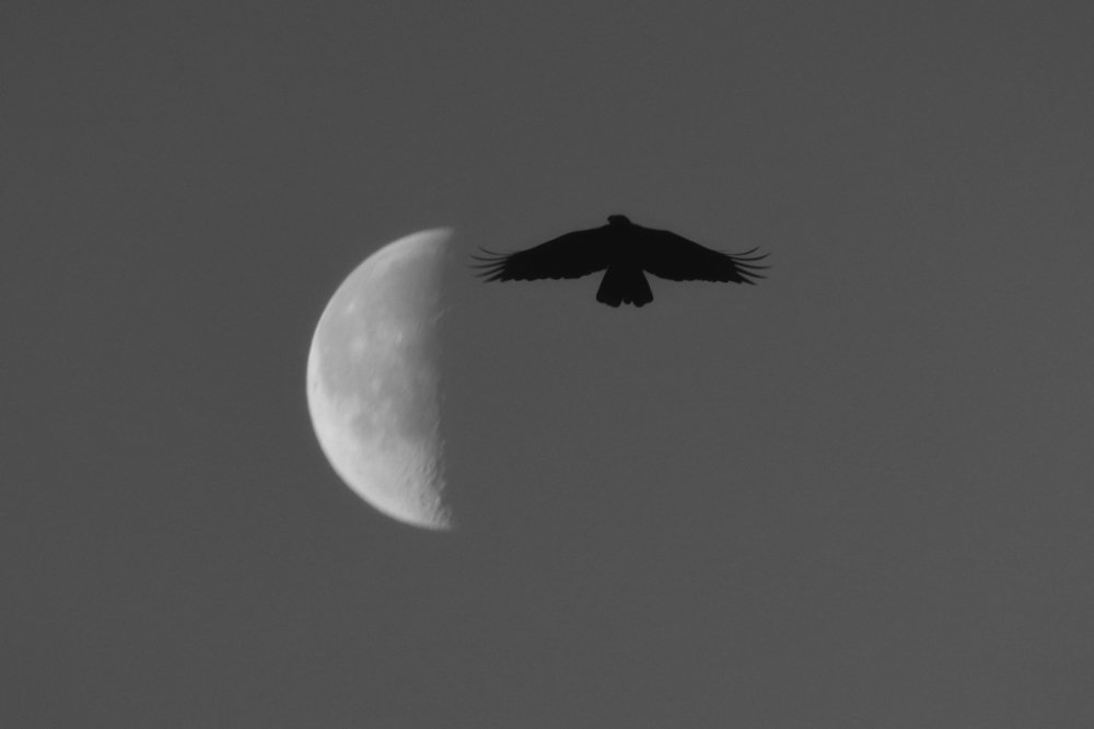 Photograph by Sundaram