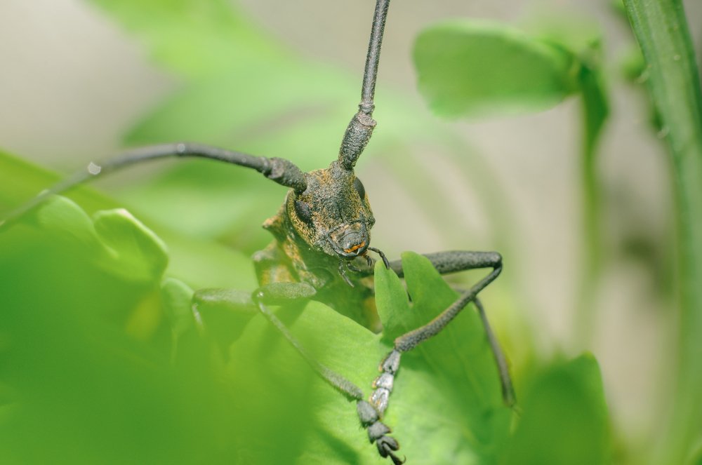 Здравствуйте!