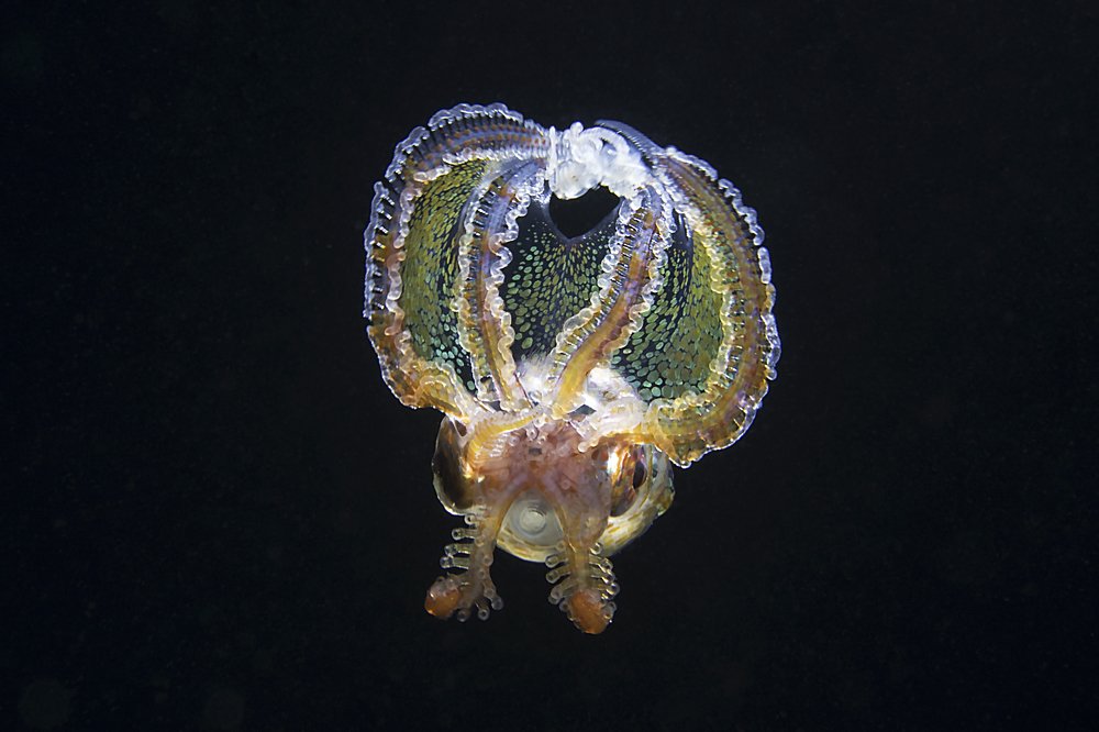 Photograph by Deniz muzaffer Gokmen