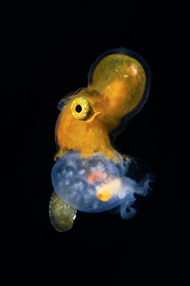 Photograph by Deniz muzaffer Gokmen