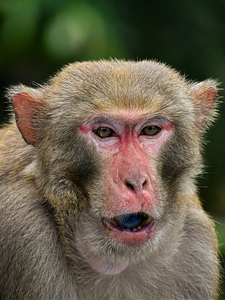 Photograph by Sukanta Ghosh