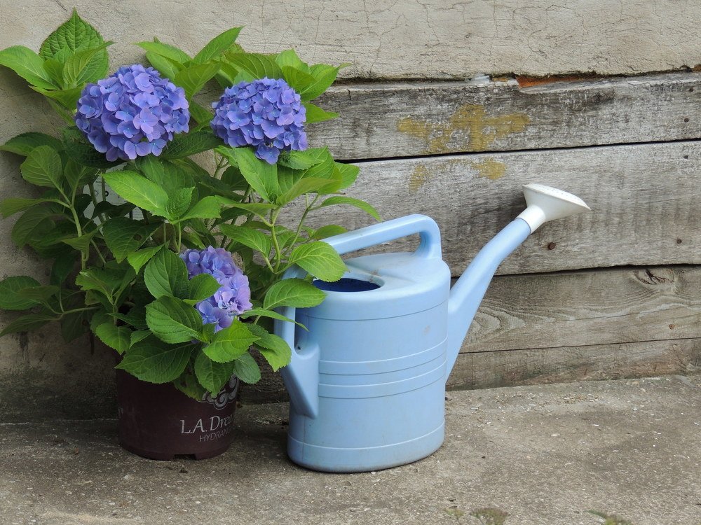 Photograph by Vladimir